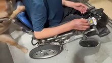 暖心！狗狗推著主人輪椅出電梯。Doggy pushes its owner's wheelchair out of the elevator.