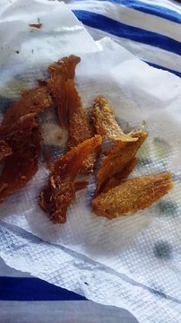 4c4cec6d-23ca-4639-8857-37febdfb5e98-1_all_59