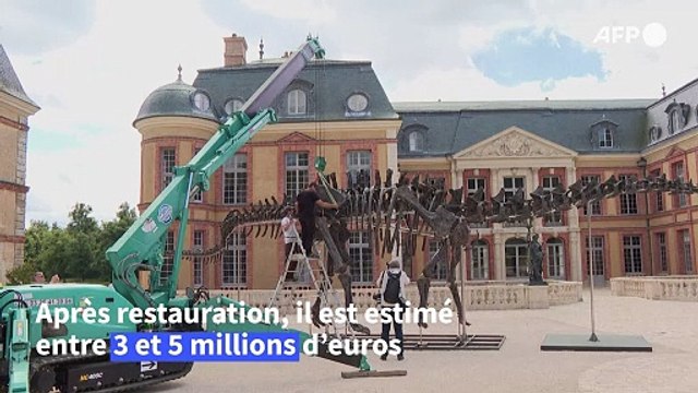 Le plus grand dinosaure jamais mis aux enchères exposé dans un château des Yvelines