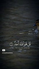 Beautiful heart warming Quran recitation 