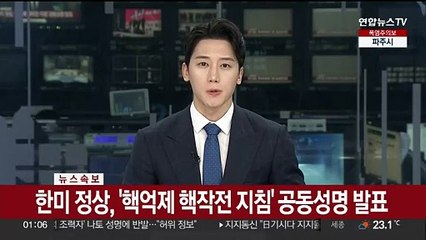 [속보] 한미 정상, '핵억제 핵작전 지침' 공동성명 발표
