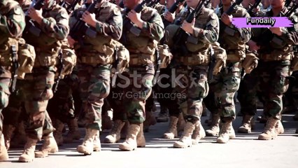 The Evolution of Armies: A Brief History