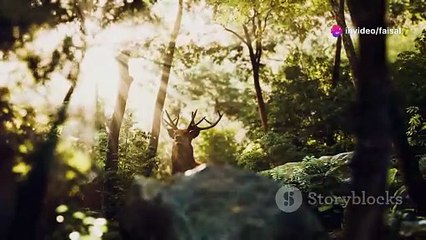 Amazing Science Facts