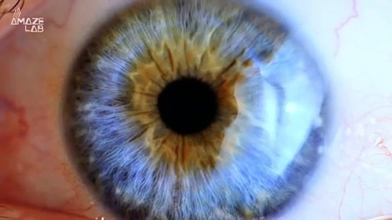 Could This Technique Actually Cure Blindness? Scientists Seem To Think So