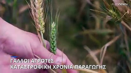 Γάλλοι αγρότες: Καταστροφική η φετινή παραγωγή