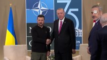 Erdoğan, Ukrayna Devlet Başkanı Zelenskiy ile bir araya geldi