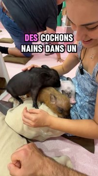 ILS SONT TROP MIGNONS !! NAN ?