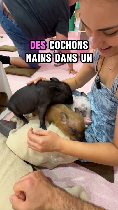 ILS SONT TROP MIGNONS !! NAN ? 