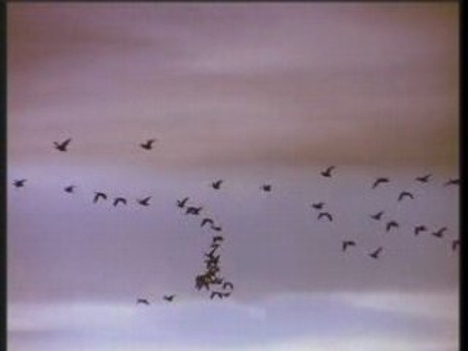 DJTC Aviation Trance ReMix 2 - HQ Full Screen