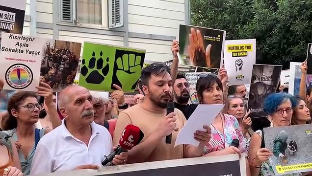 Hayvan hakları savunucularından milletvekillerine çağrı: Tecrit ve katliama hayır deyin