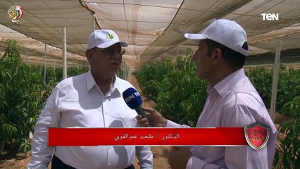 عضو مجلس الحوار الوطني: في رهان اتاخد على ان توشكى الخير يكون مستقبلها موجود