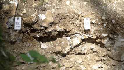 5,000 year old burial site discovered in Kent farmland