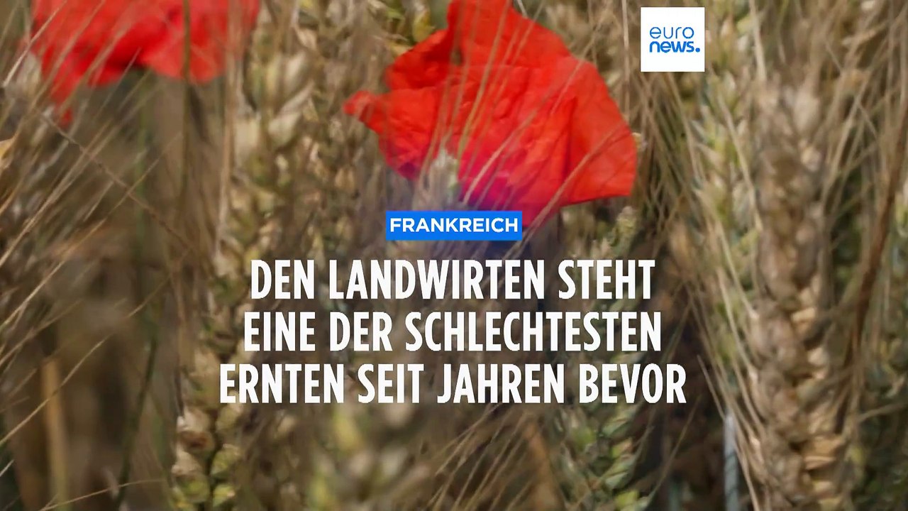 Extremwetter in Frankreich: Landwirten droht eine der schlechtesten Ernten seit Jahren