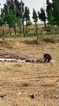 0711-03_1720716411278