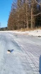 Jungle Life Hacks_7376619358342221061-no-watermark