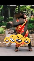 Amazing dance - Funny videos - Funny Clips