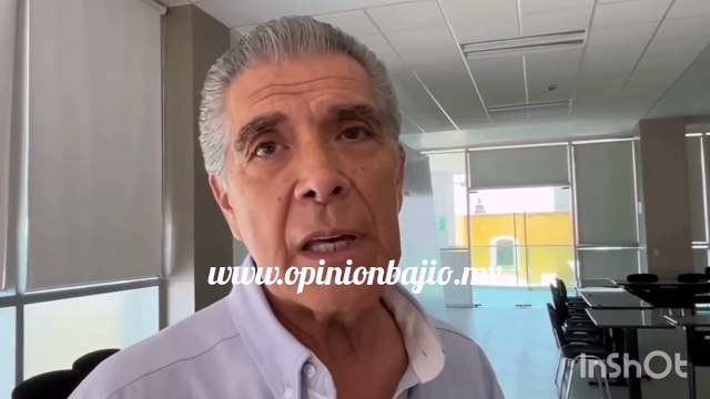 En #Irapuato hay al menos 120 mil perros en situación de calle