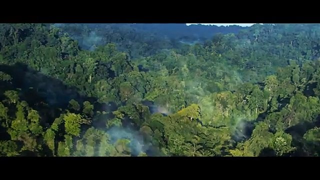 Tarzan (2025) - First Trailer - Dwayne Johnson, Megan Fox