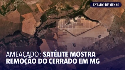 Satélite mostra remoção do Cerrado em Minas Gerais
