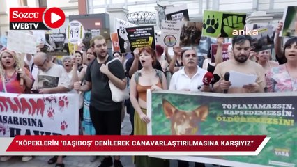 Köpeklerin 'başıboş' denilerek canavarlaştırılmasına izin vermiyoruz