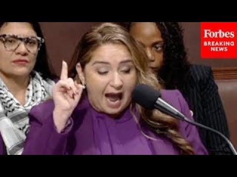 ‘Perpetrates Lies’: Delia Ramirez Goes Off On GOP Bill To Require Proof Of US Citizenship To Vote