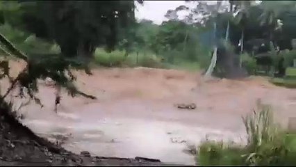 ext-Inundaciones Muelle de San Carlos-110724