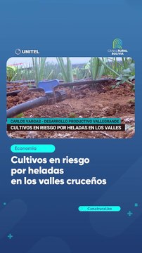 Cultivos en riesgo por heladas en los valles cruceños