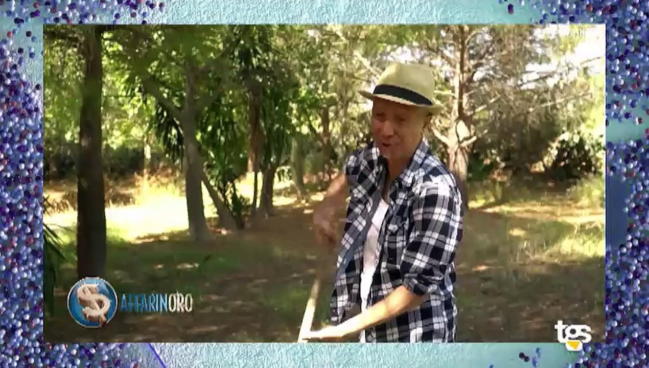 Speciale ritiro Palermo: ufficializzata la seconda amichevole del ritiro di Livigno, attesi siciliani da tutto il nord Italia