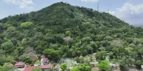 Buscan revitalizar y preservar el Cerro Ancón