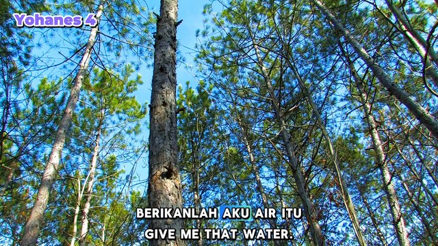 INJIL YOHANES. Yohanes 4