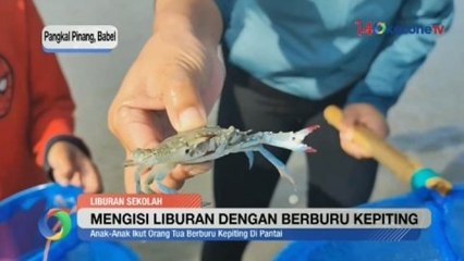 Serunya Anak-Anak di Bangka Belitung Isi Liburan Sekolah dengan Berburu Kepiting
