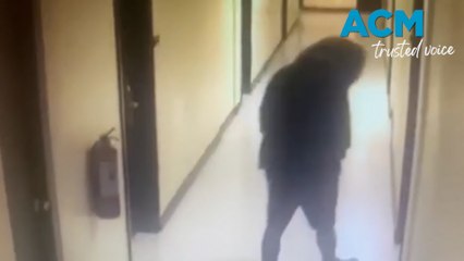 Manhunt for masked man seen leaving dead Australian couple's hotel room