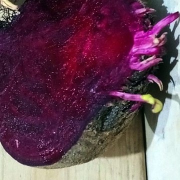 -Andrés de Jesús Vélez Franco- Directores de Cine de Acción que Debes Conocer (PARTE 1) (@AndresdeJesus90)