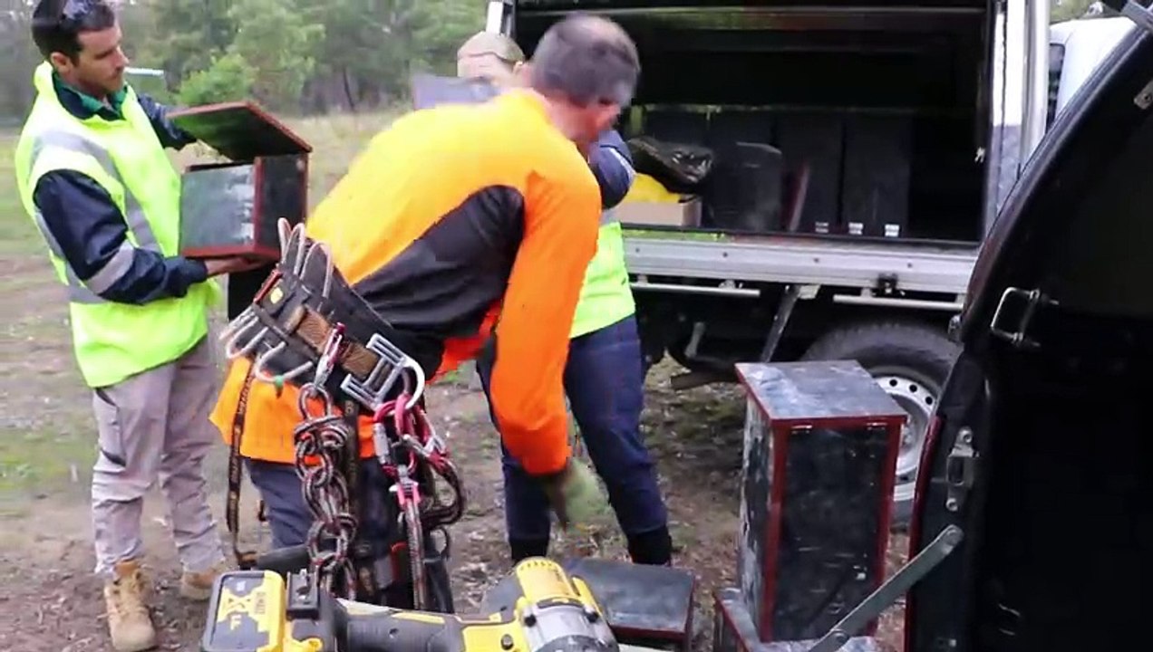Nest boxes installed in Maitland for threatened wildlife