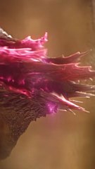 Godzilla vs king Kong Epic battle edits