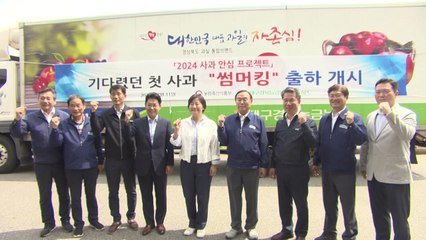 어제 햇사과 첫 출하...송미령 장관 "가격 안정될 것" / YTN