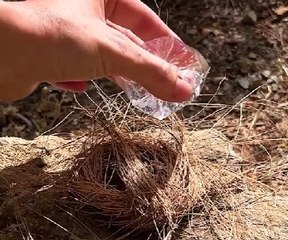 Clever camping hacks for comfort & safe adventure!