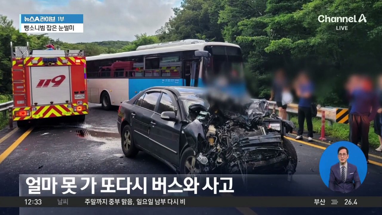 숲으로 사라진 뺑소니범…눈썰미로 잡았다