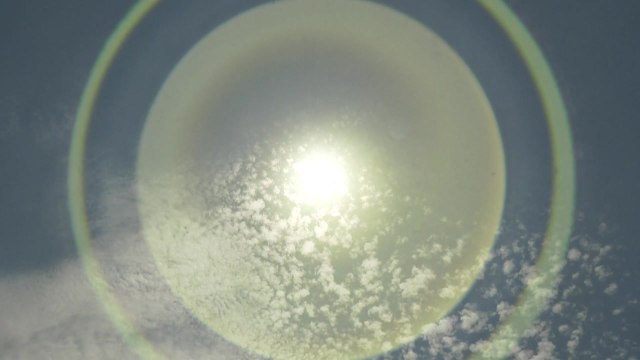 美 폭염 속 차량 방치 아이 사망 잇따라... 올해만 10명 / YTN