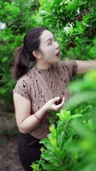 Cute Woman Picking Fresh Fruits: Garden Paradise