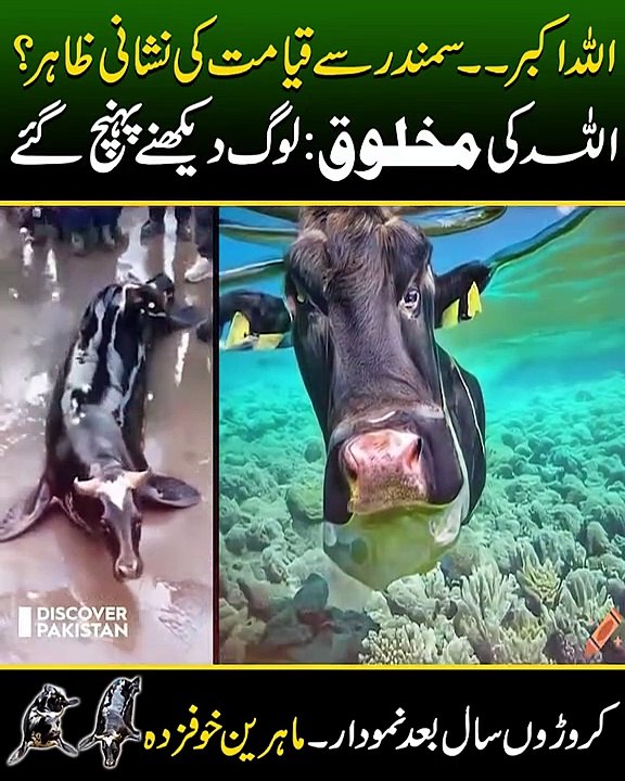 Allah ki kudrat