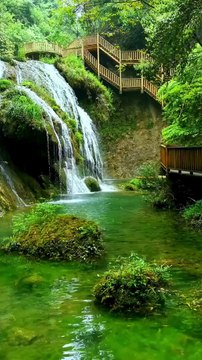 Beautiful Tilawat e Quran |Amazing Recitation Of Quran |quran|Quran |Quran Majeed