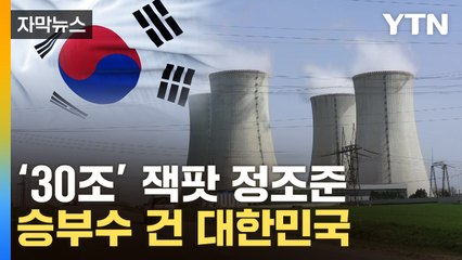 [자막뉴스] "韓 기술력 훌륭"...K원전 줄줄이 '잭팟' 총력전 / YTN