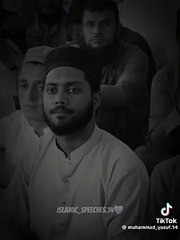 Islamic Lectures by Engineer Mohammad Ali Mirza