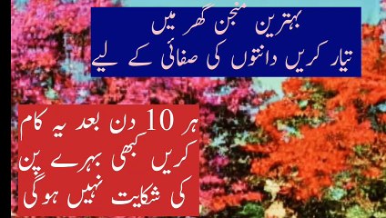 kan ka behrapan#danton ka manjan