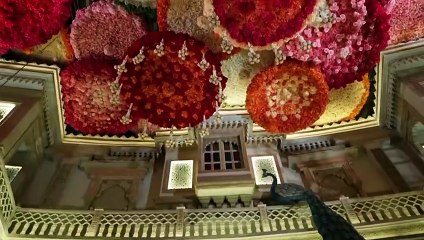 the Ambani family will bring the spiritual essence of Varanasi to the wedding of Anant and Radhika