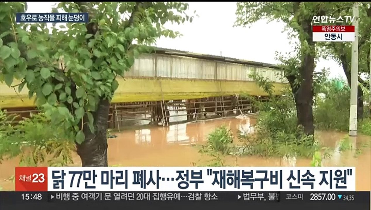 집중호우로 농작물 대거 침수…'먹거리 물가' 우려