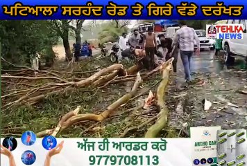 ਦੇਖੋ ਪਟਿਆਲਾ ਸਰਹੰਦ ਰੋਡ ਤੇ ਗਿਰੇ ਵੱਡੇ ਦਰੱਖਤ,ਹੋ ਗਿਆ ਰੋਡ ਜਾਮ.............