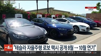 "테슬라 자율주행 로보택시 공개, 8월→10월 연기"