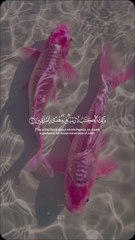 Ya Allah ZalimonKO halaq karde ☝️❤️